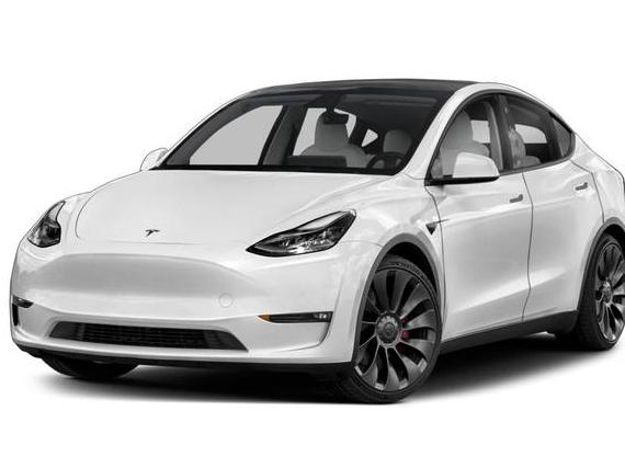 TESLA MODEL Y 2023 7SAYGDED7PF934401 image